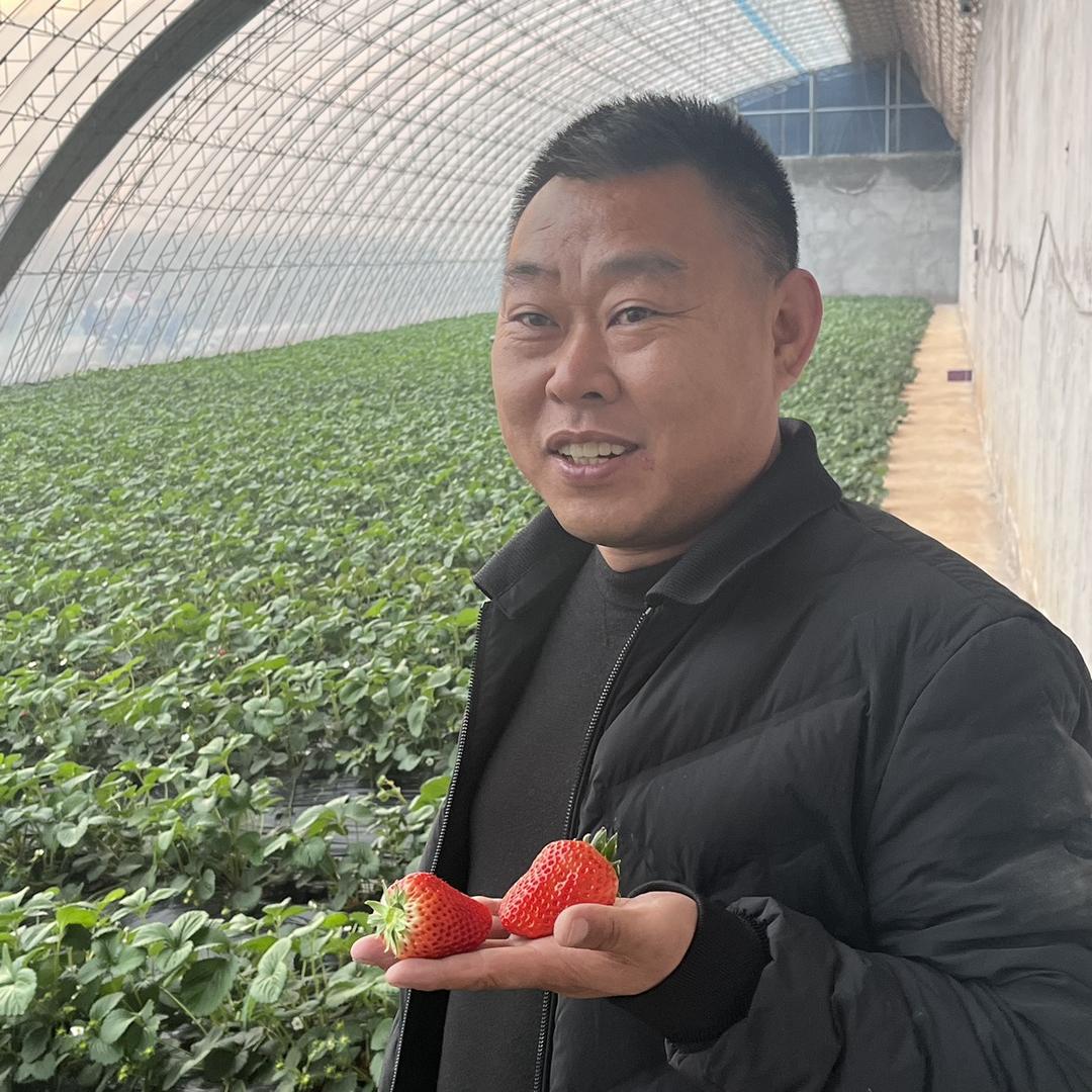新华村老石