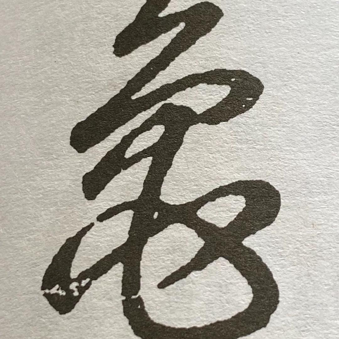 山哥爱养龟