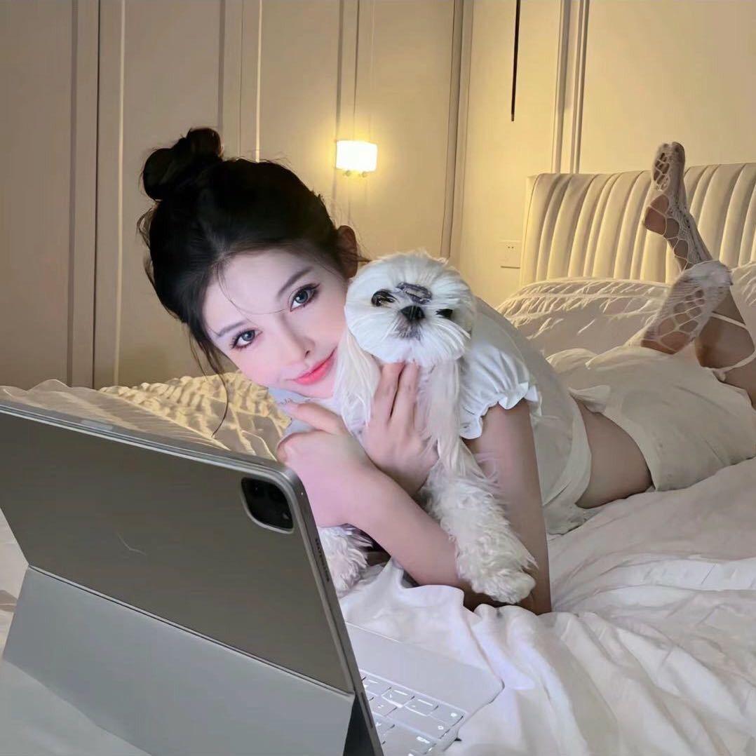 喵了个喵🐱