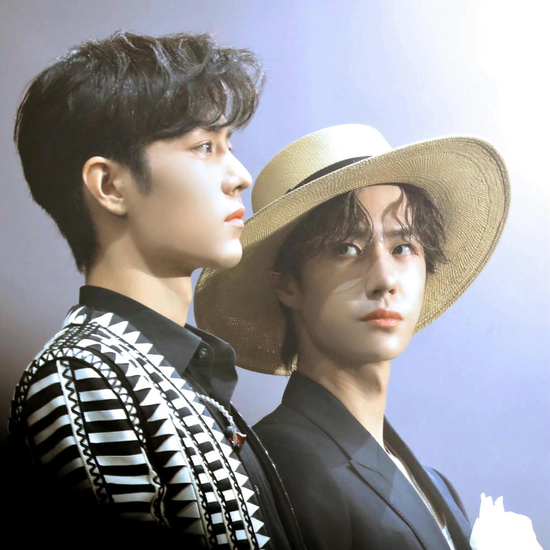 𝑨𝒅𝒛𝒖𝒌𝒊⁹⁵（肖战对视版