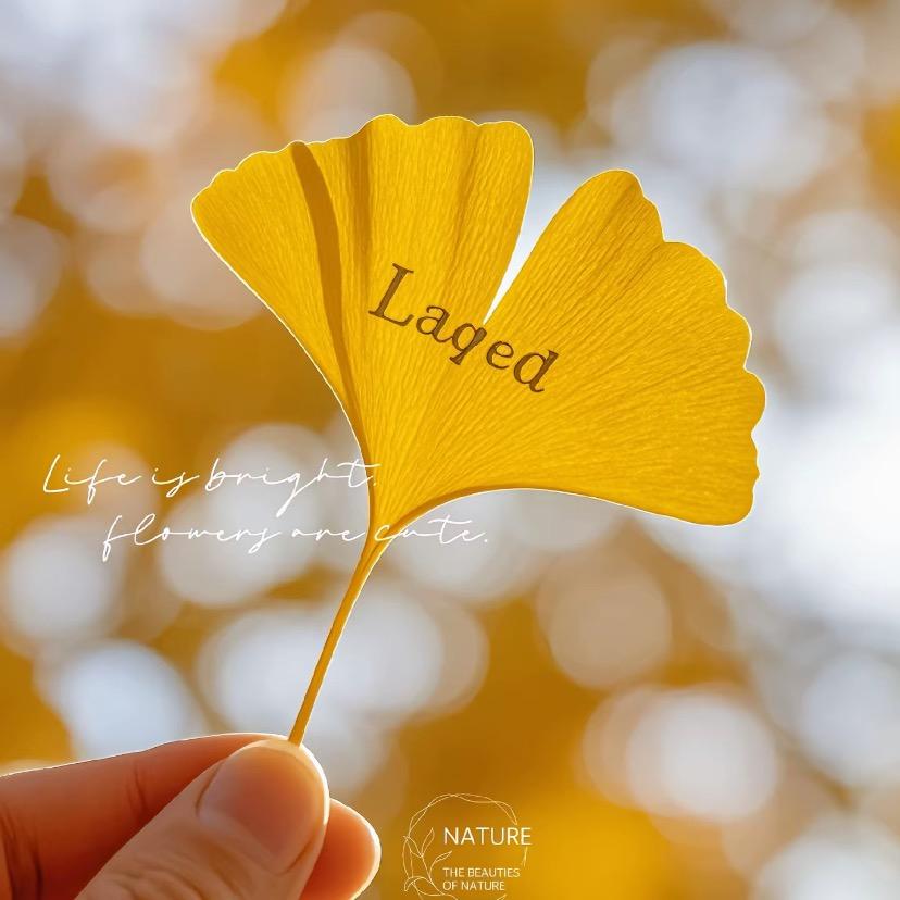 惠达瓷砖•卫浴•圣洛威热水器•海尔厨电