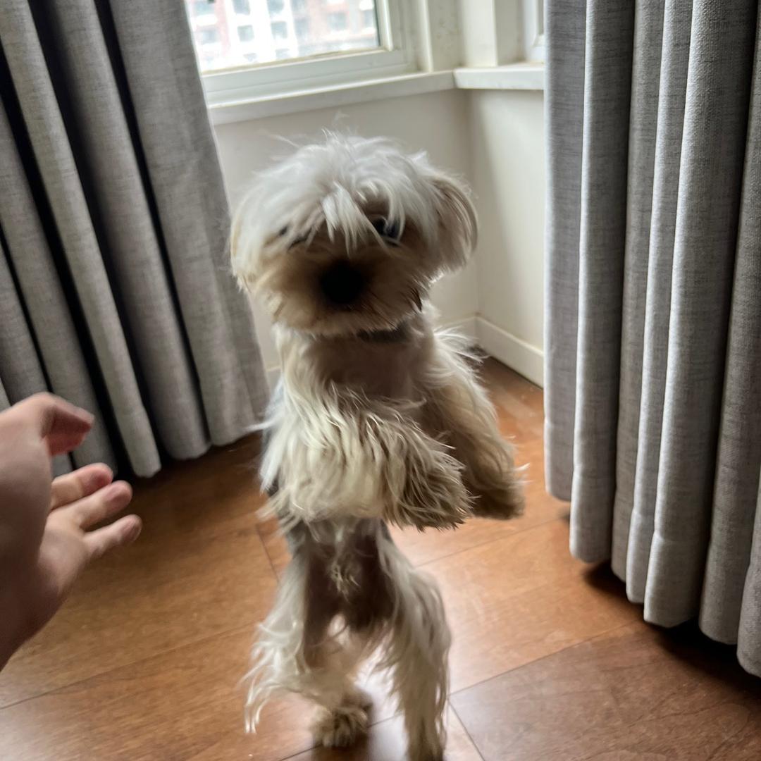 门把手