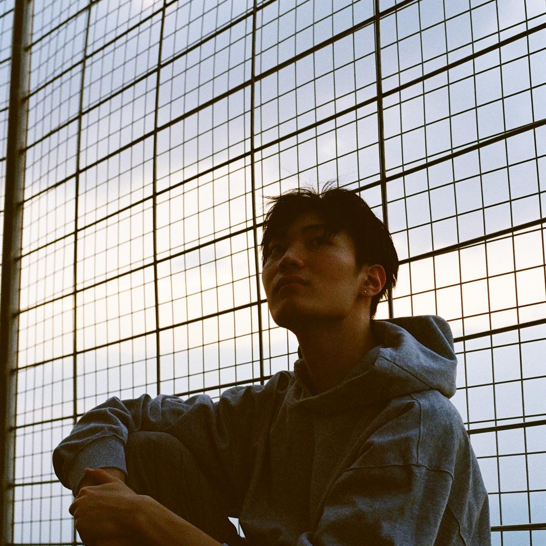 骆驼