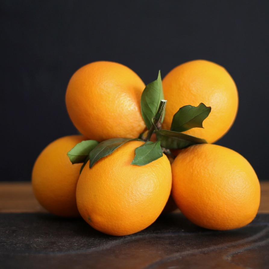 橙心🍊意