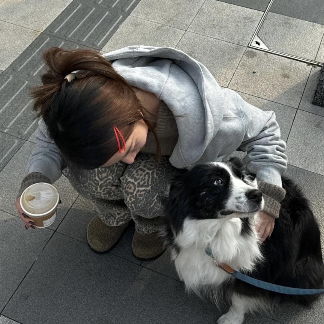 饼饼_