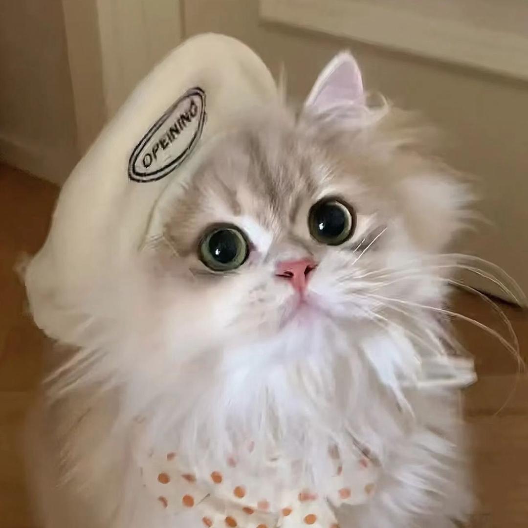 美眉饰品小铺
