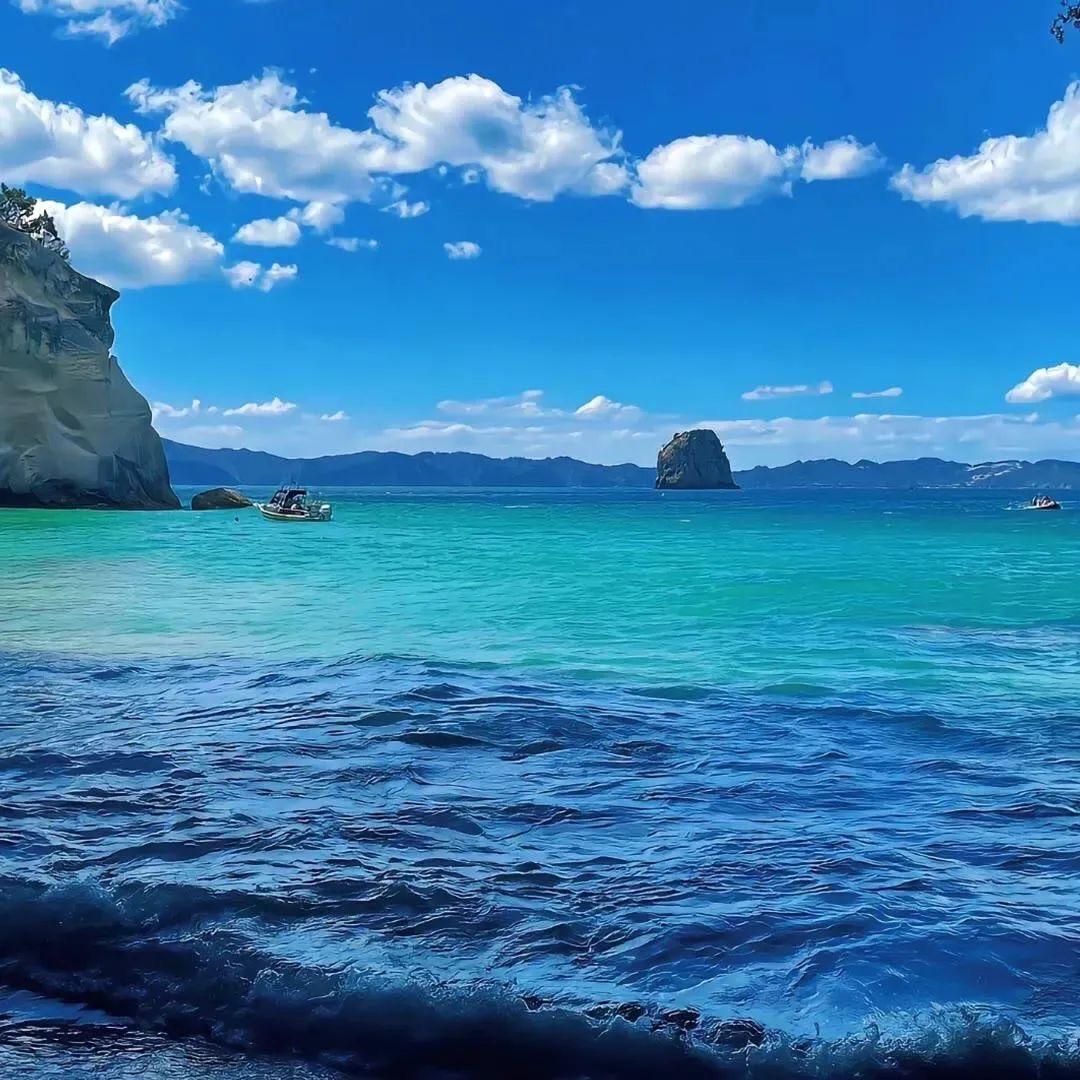 海哥