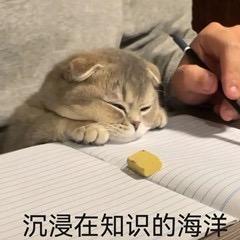 今天也要开心