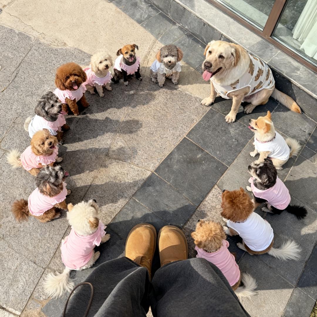 萌萌酱的小饼干🍪