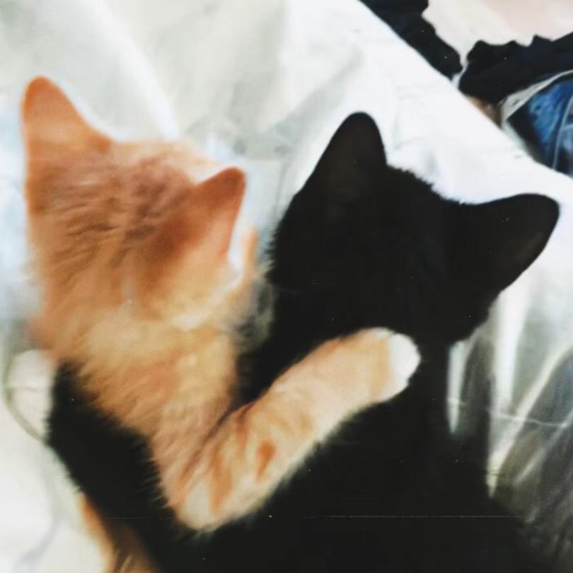 hi
