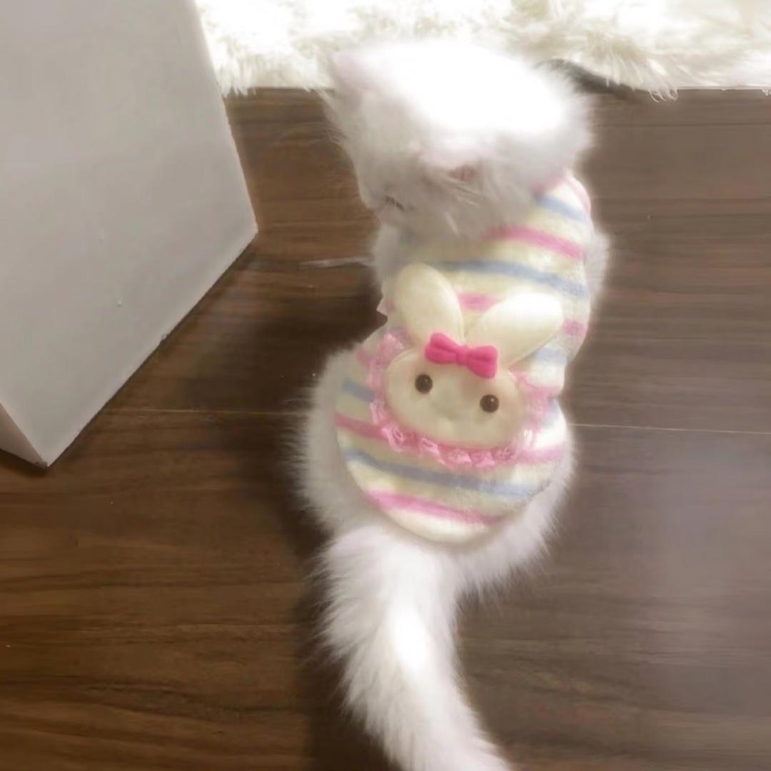 小no