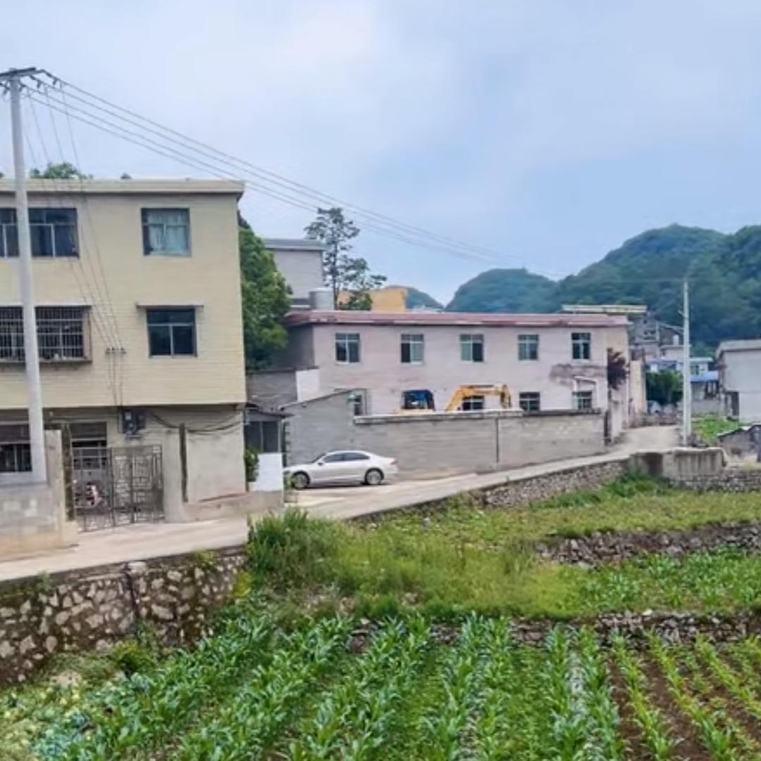 月儿
