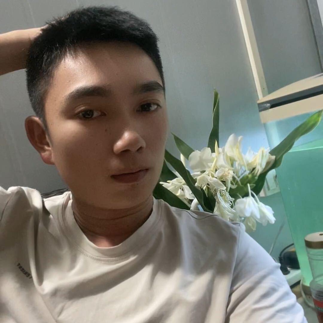 溪南陈弟生鹅批发