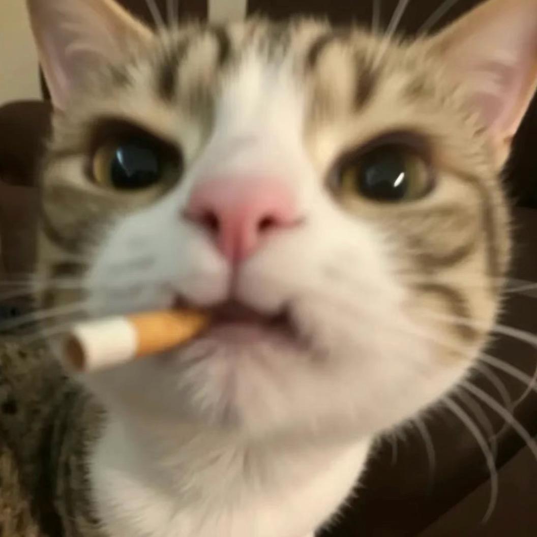 萌萌之中早已注定