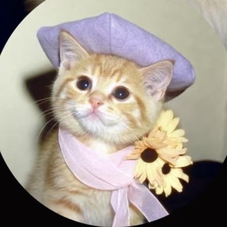 难道我是甜菜？！