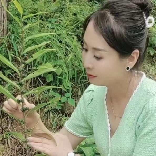 九华黄精源头工厂