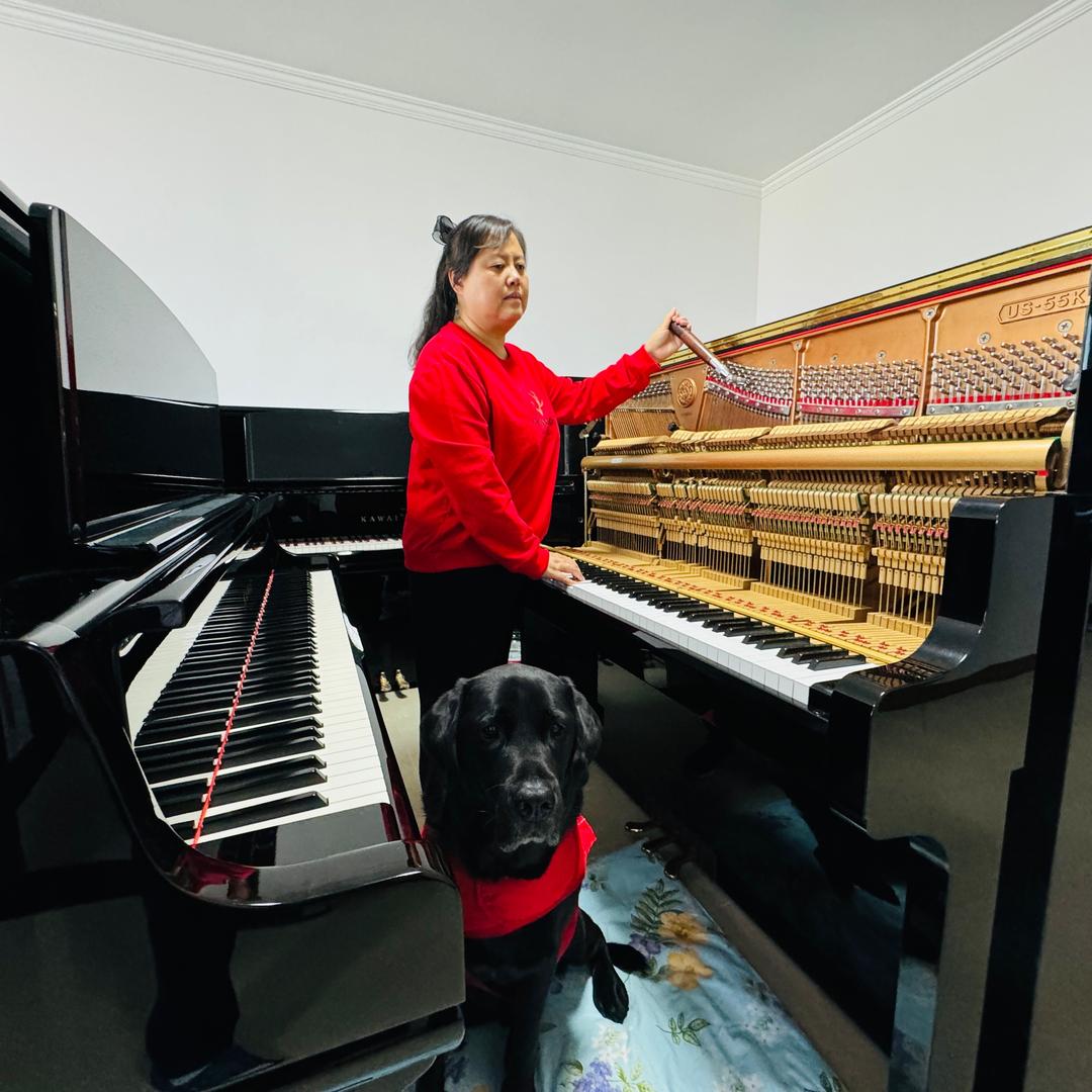 陈燕🎹和她的导盲犬
