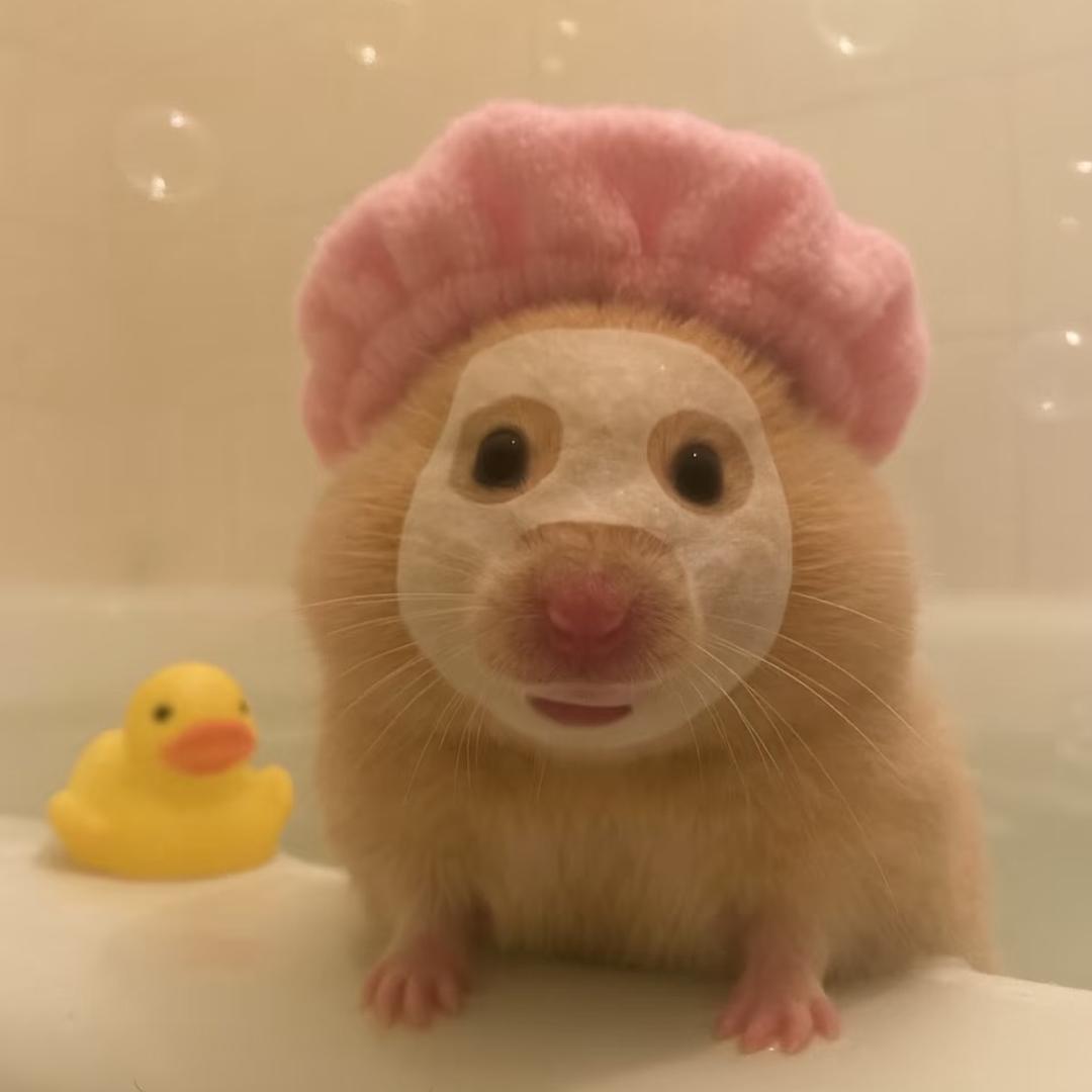 老鼠大人🐭（见过尤长靖版）