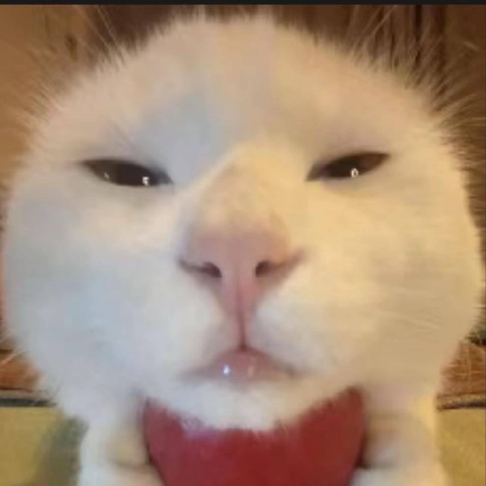 LH
