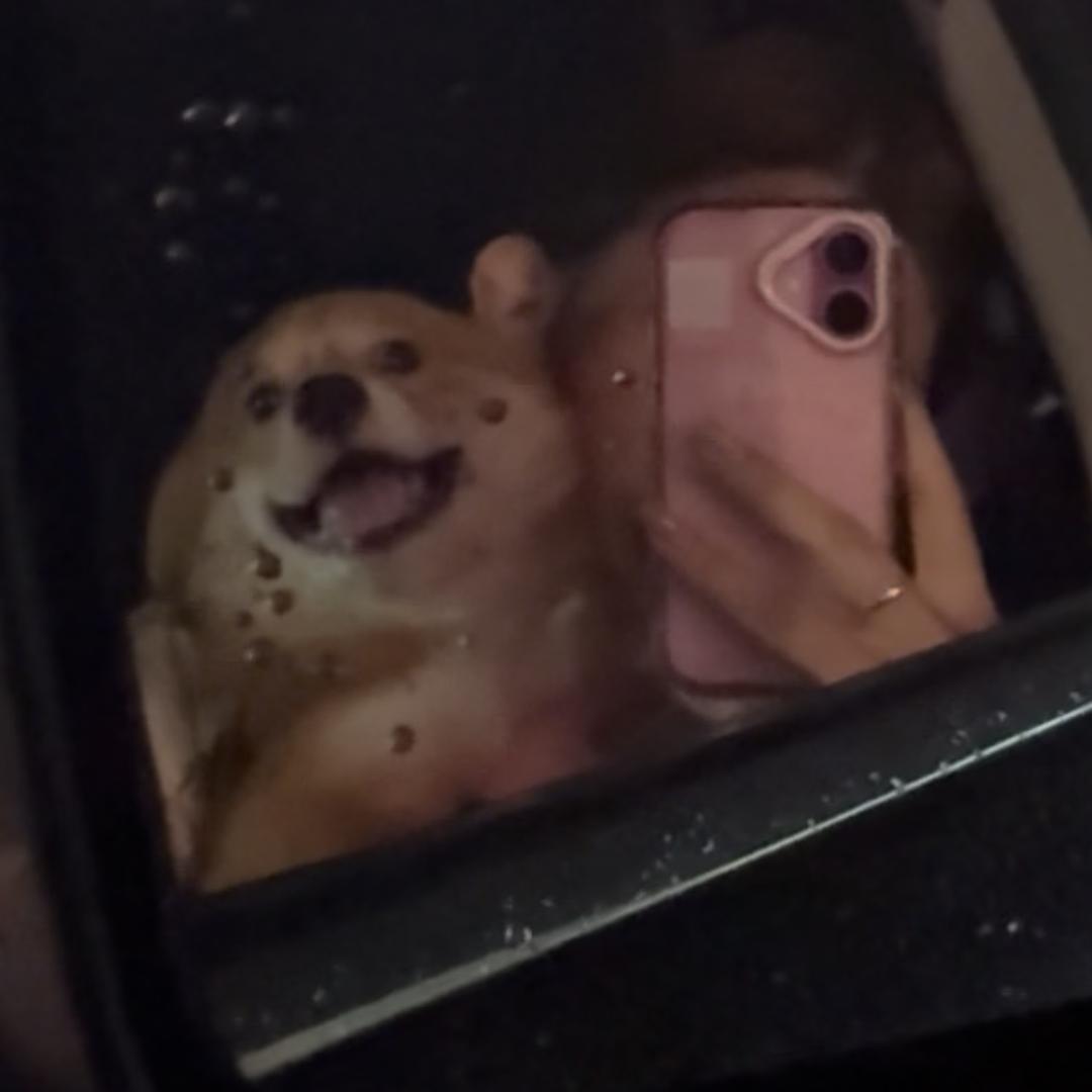 系B婷吖~🙈