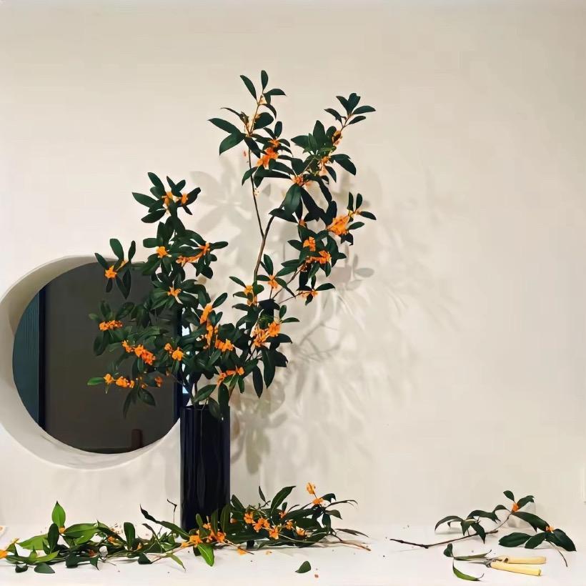 紫米123