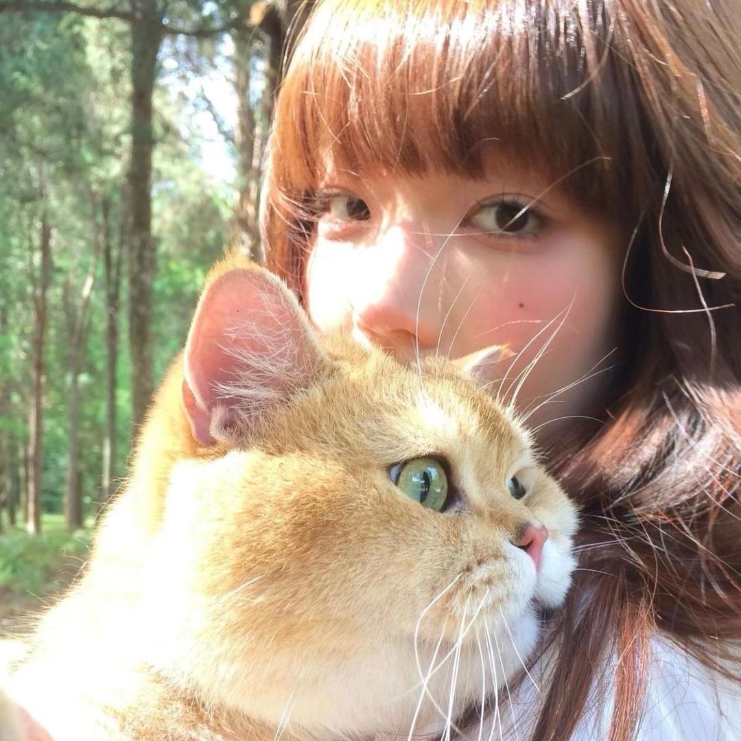 摆烂小狗🍂（想要在见王俊凯和小时版）