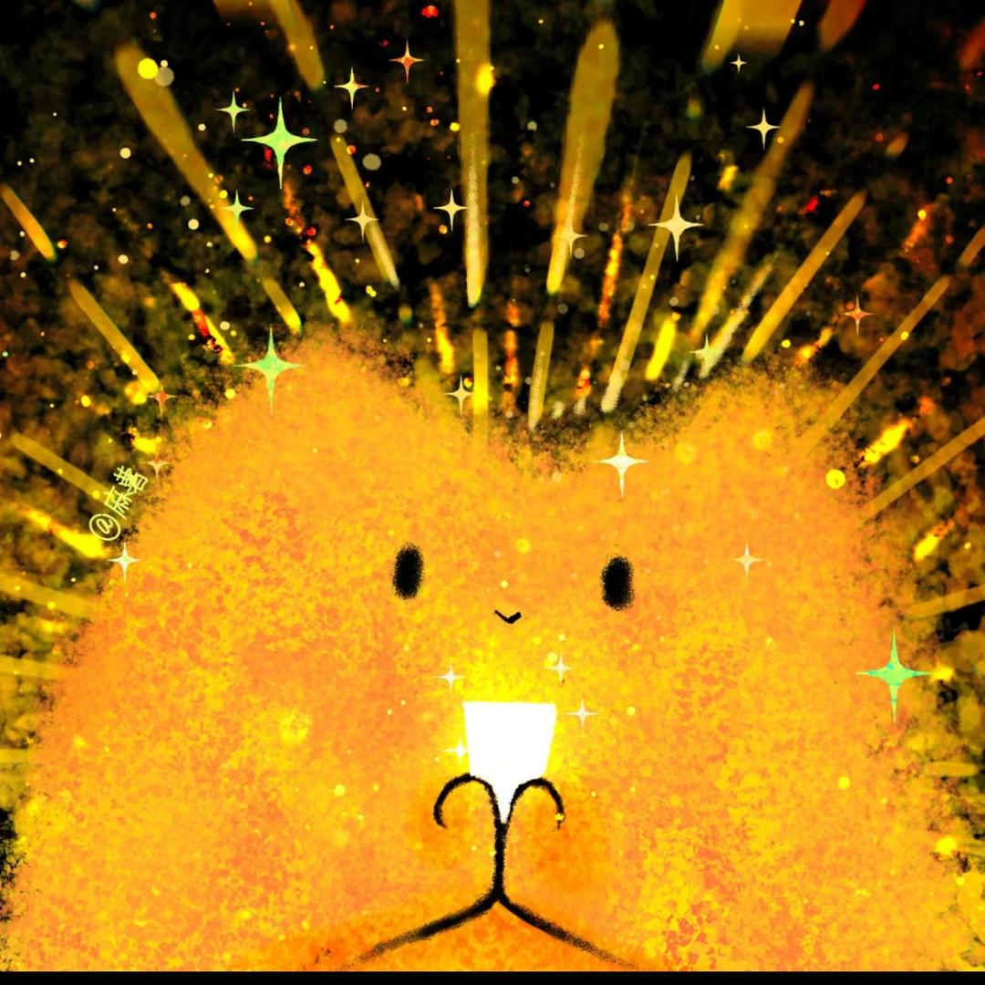 🍊(๑><๑)🍊西柚