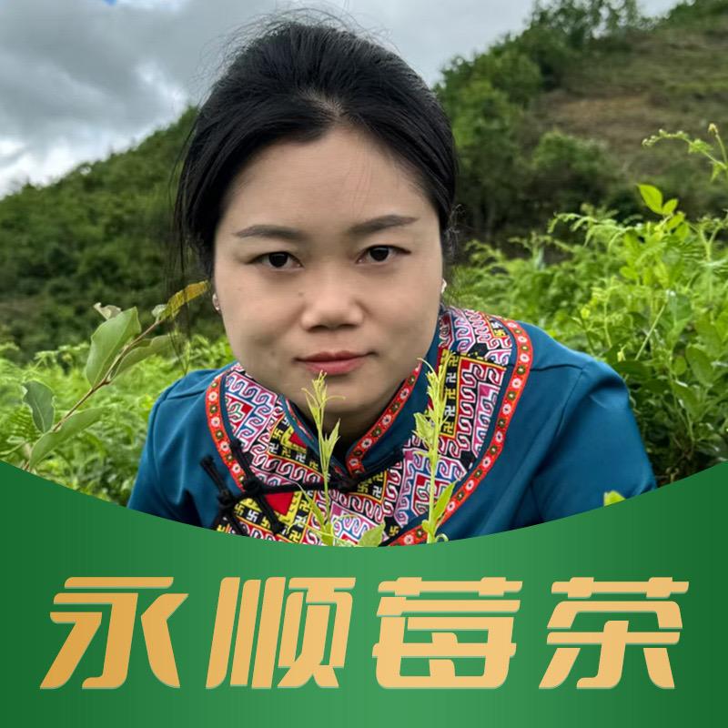 半山梦养生茶旗舰店的头像