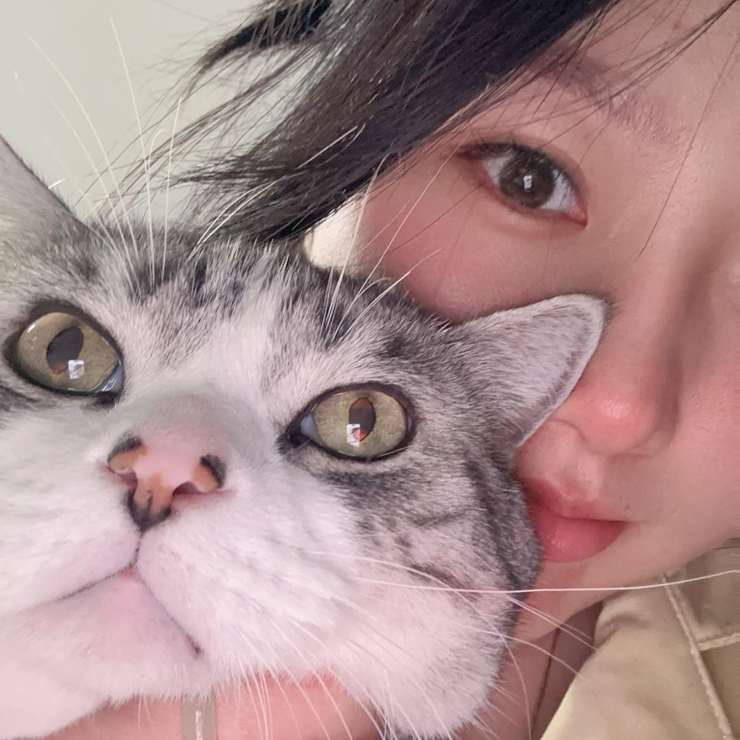 喵喵～呜🐱