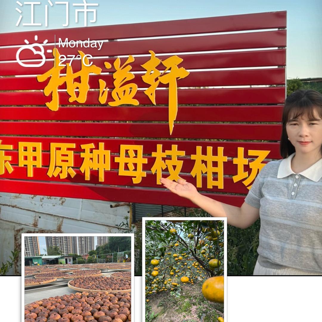 新会陈皮柑普茶（柑溢轩）