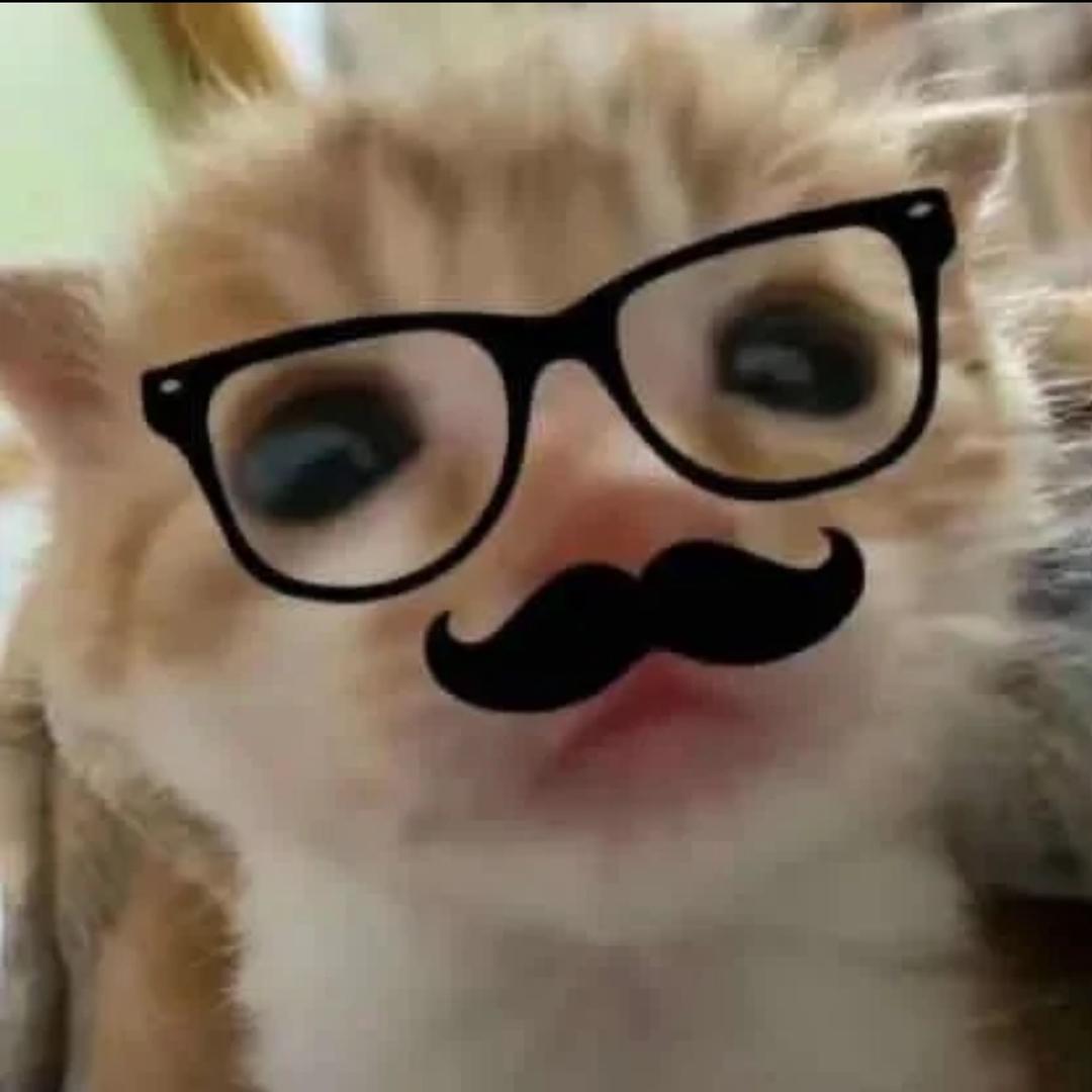 哭哭小鱼