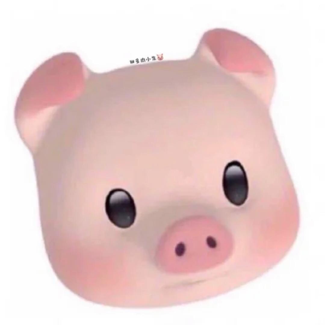 多肉小朱🐷