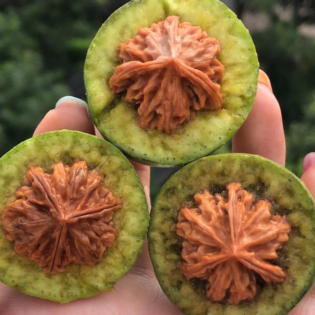 军升聚核缘文玩