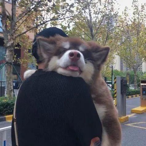 阿拉蜜蜜的爹地～