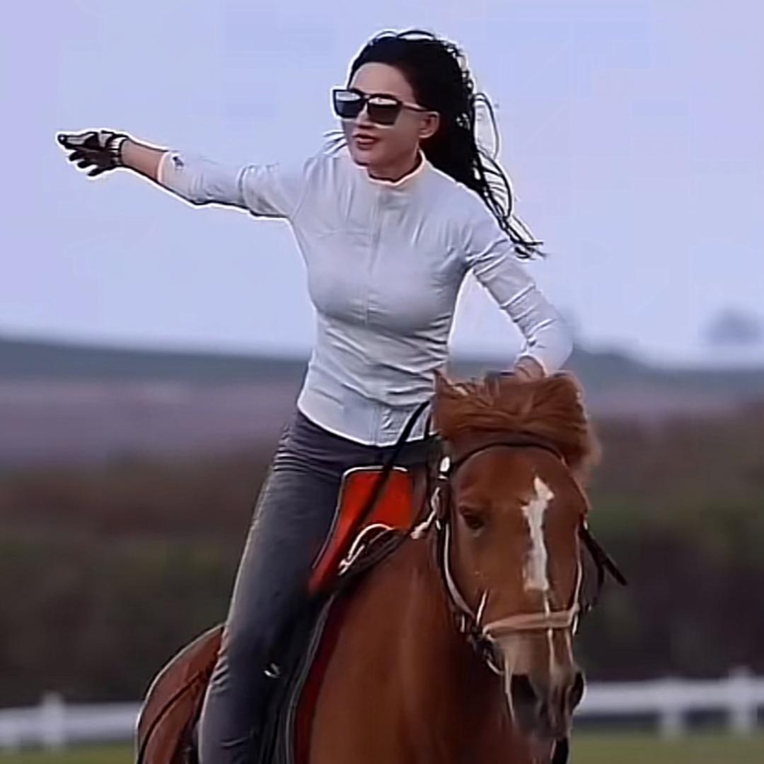 小鹿乱撞（请各位朋友，不要连赞）