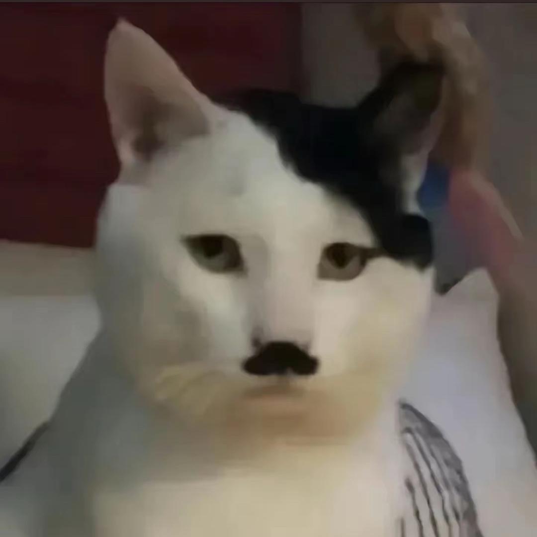 瓦素树林.