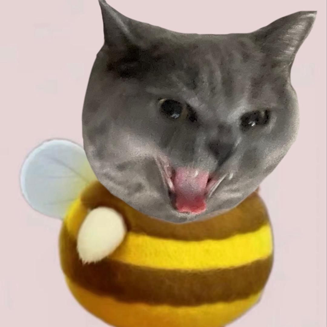 鼠芙蕾
