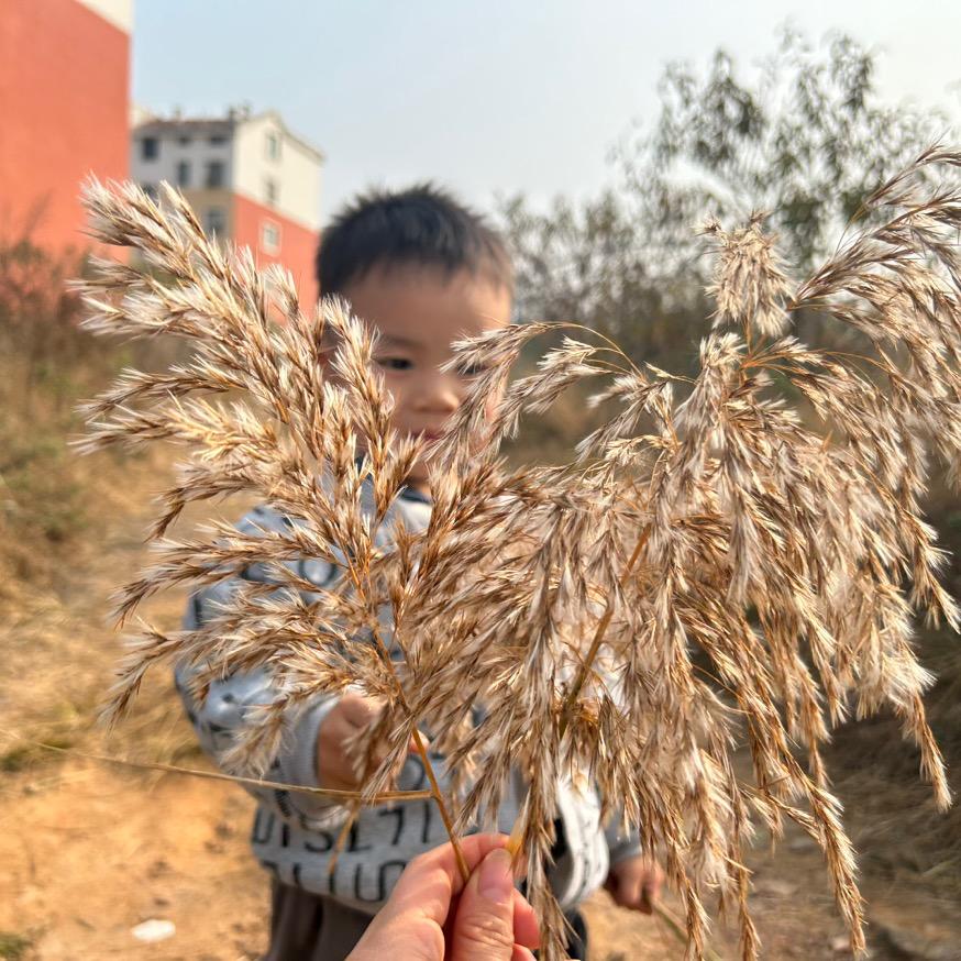 张米乐👦
