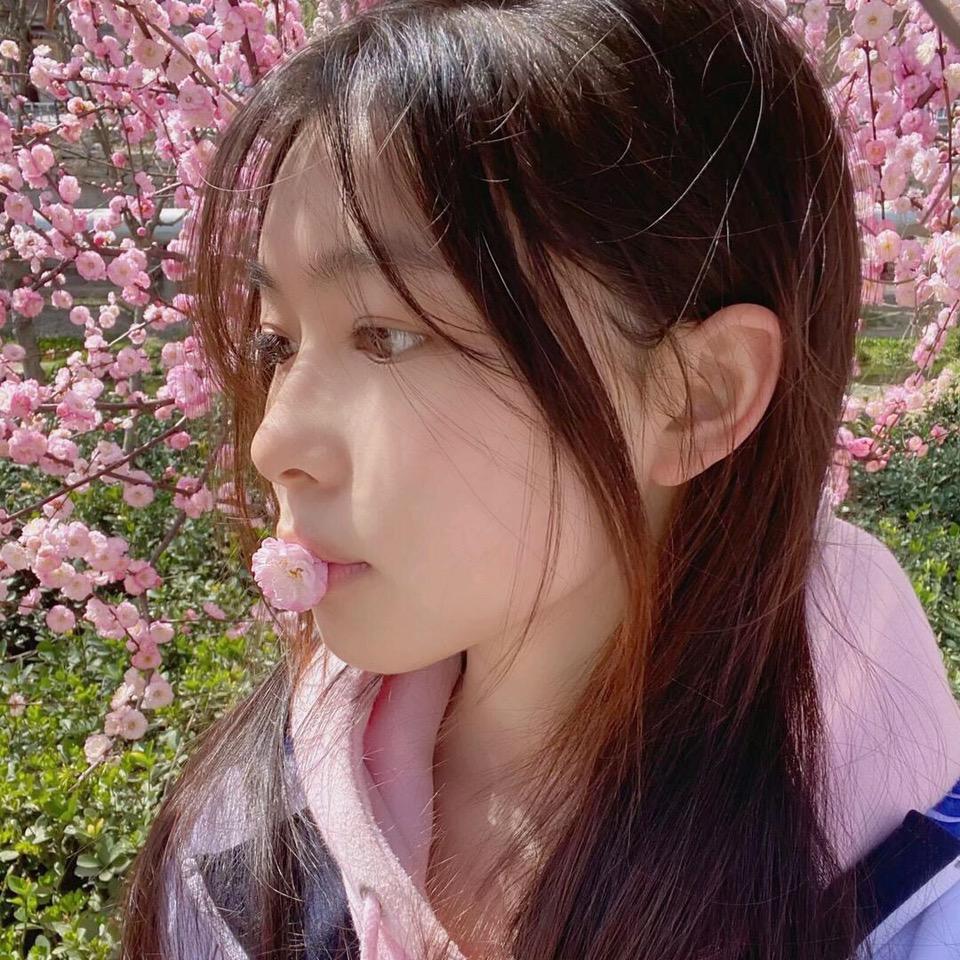 蒸蒸的日上
