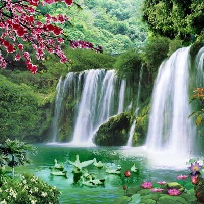 杨清清^_^好物严选