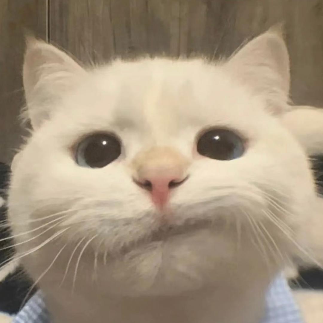 懒杨杨