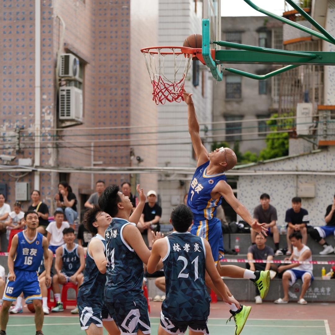 鼠树叶