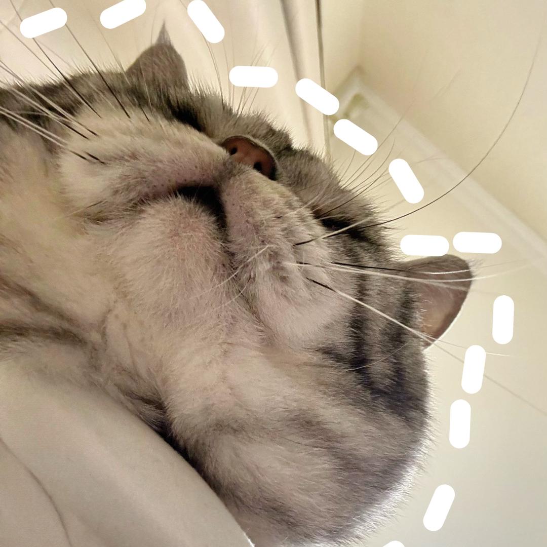 裴老师🧋