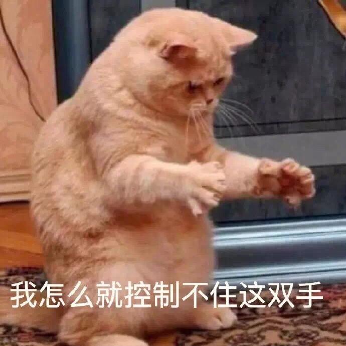 序曲