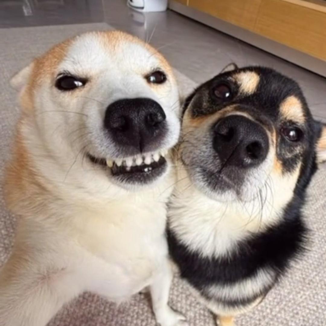 …