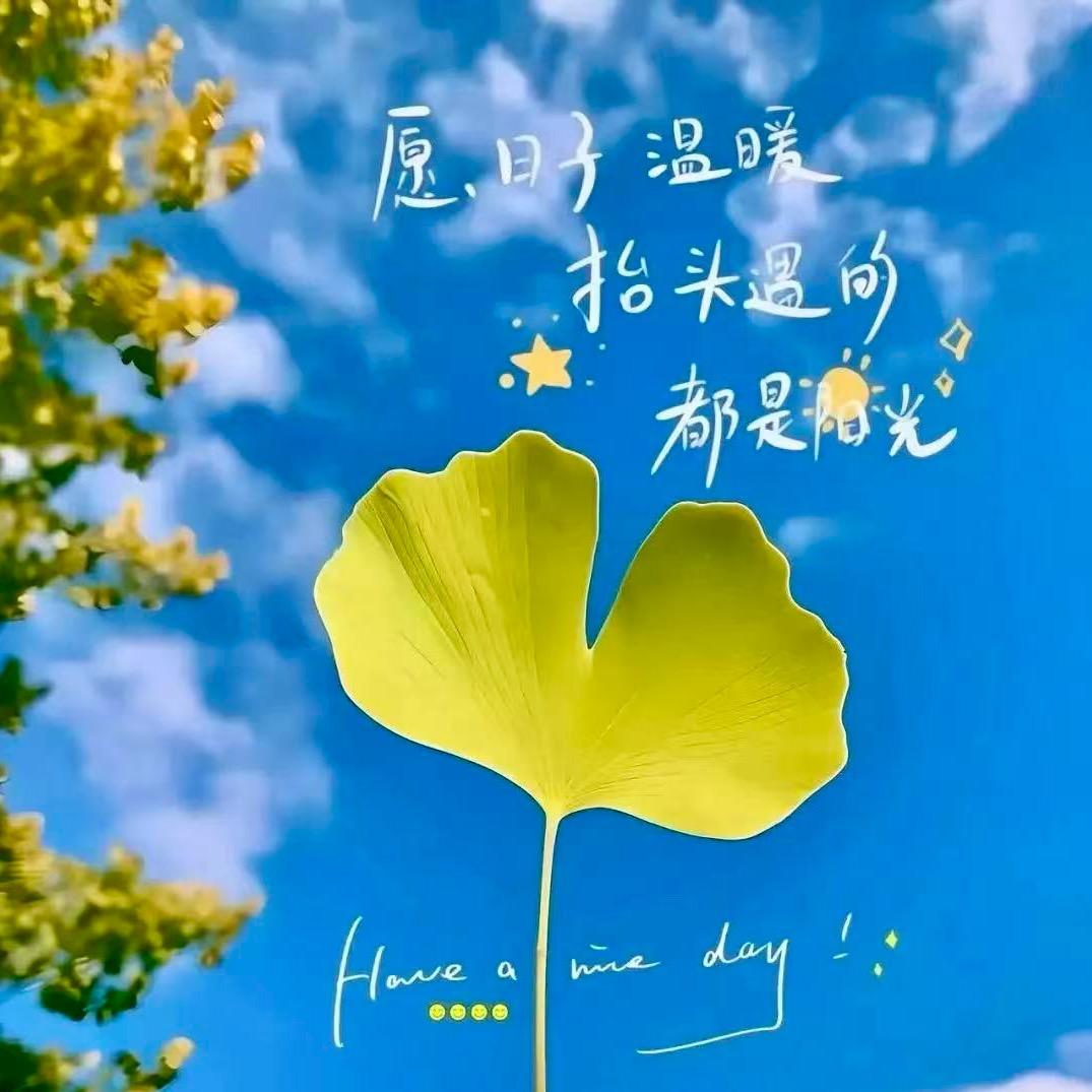 ☞唯独☆忘不了你☜