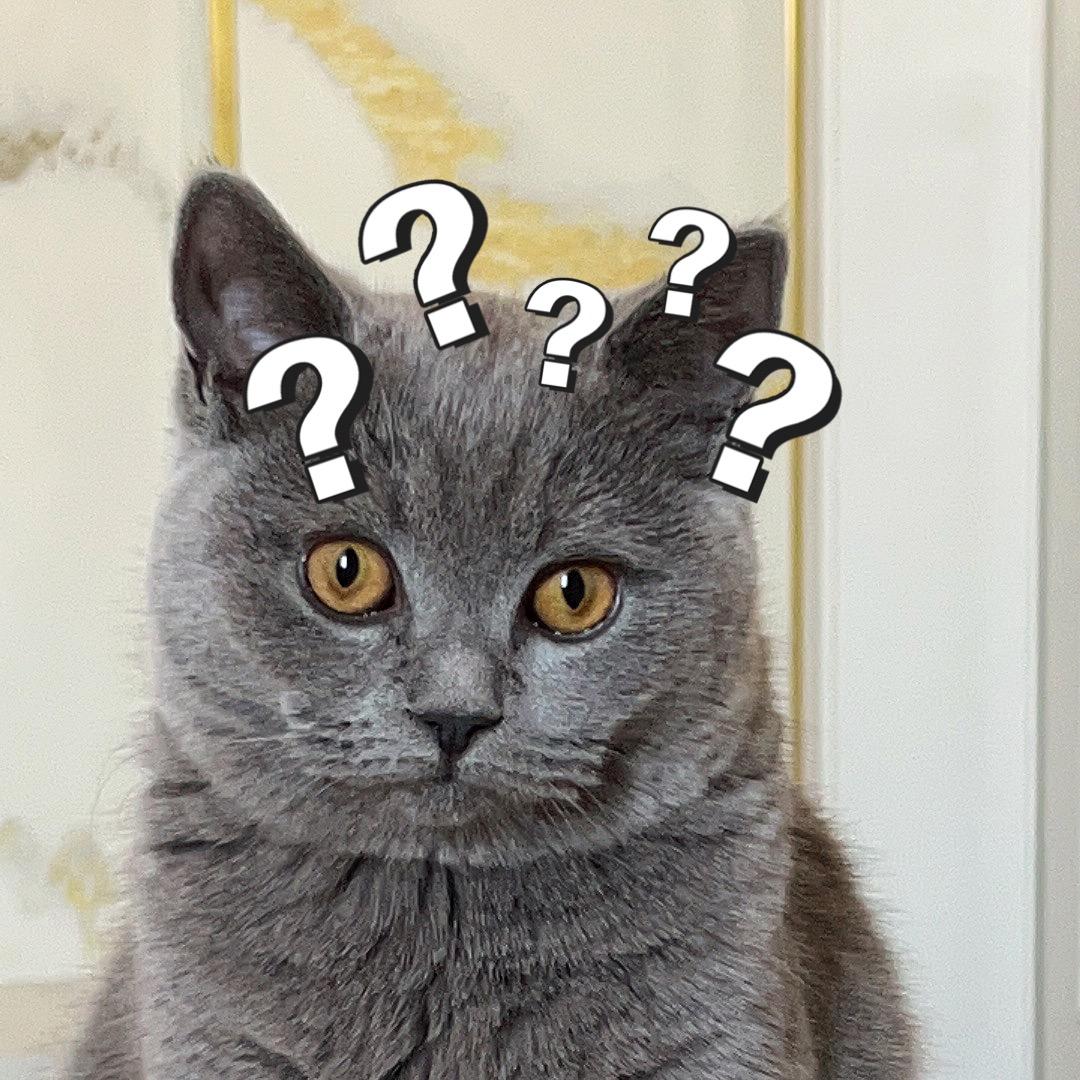 是七七呀（三岁）