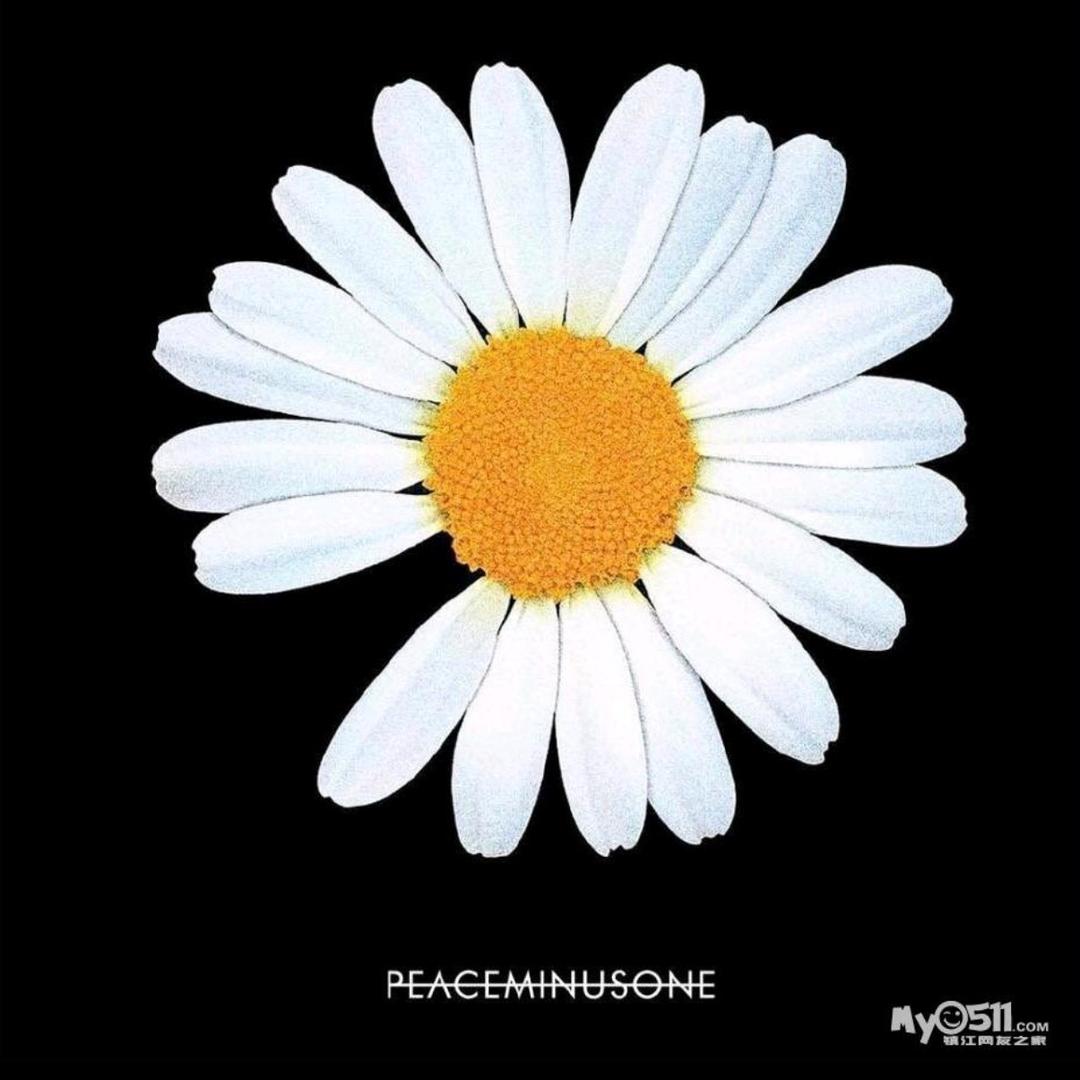 ઇ小野猫不是猫ଓ