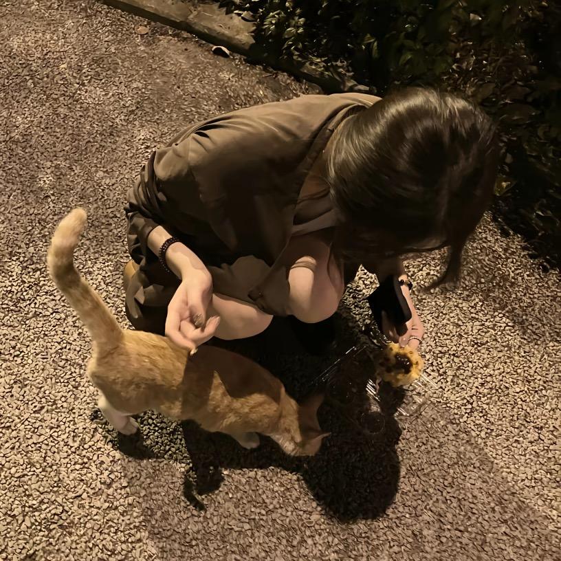 待我如初.