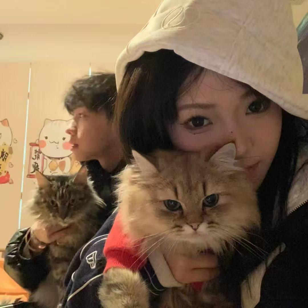 小名鼎鼎猫猫侠